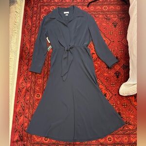 NWT Aritzia/Babaton Abbey Dress